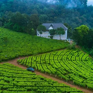 Station touristique Tea Harvester Munnar
